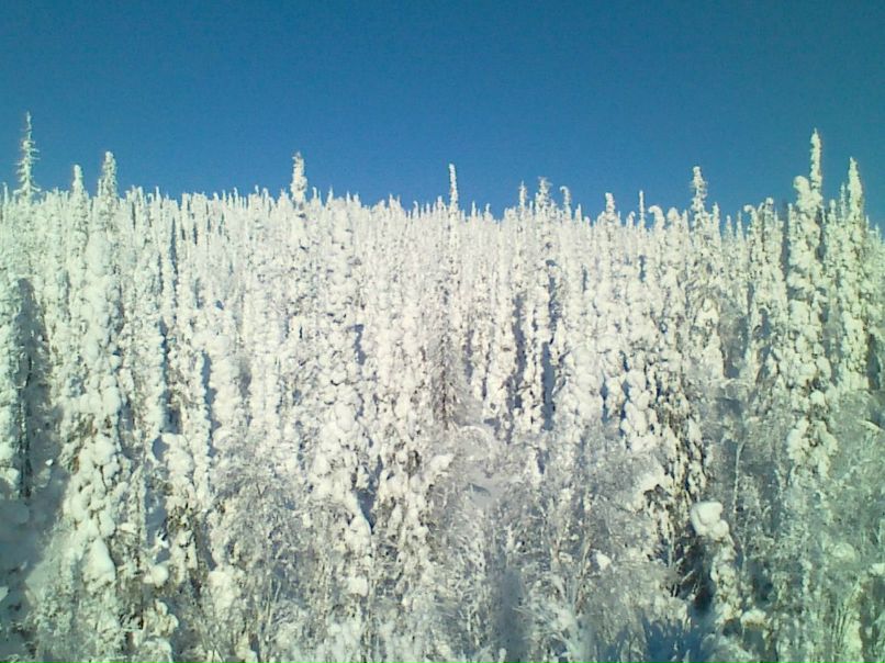Александр Минин | Петрозаводск