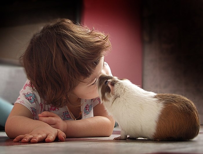 Елена Дунаева | Великий Новгород