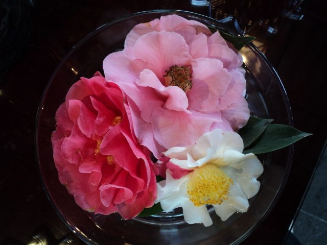 Julia Kondratiev | Ensenada