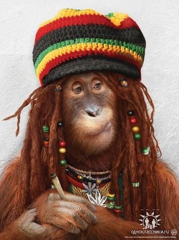 №3, Mister Bu, 54 года, Забабье, Россия №3, Mister Bu, 54 года, Забабье, Россия