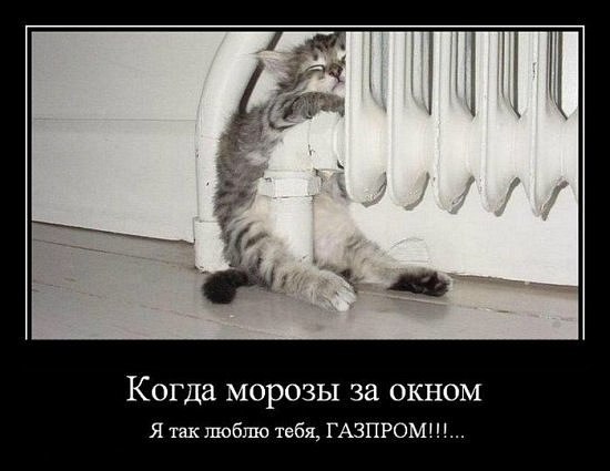 Екатерина Радаева | Самара