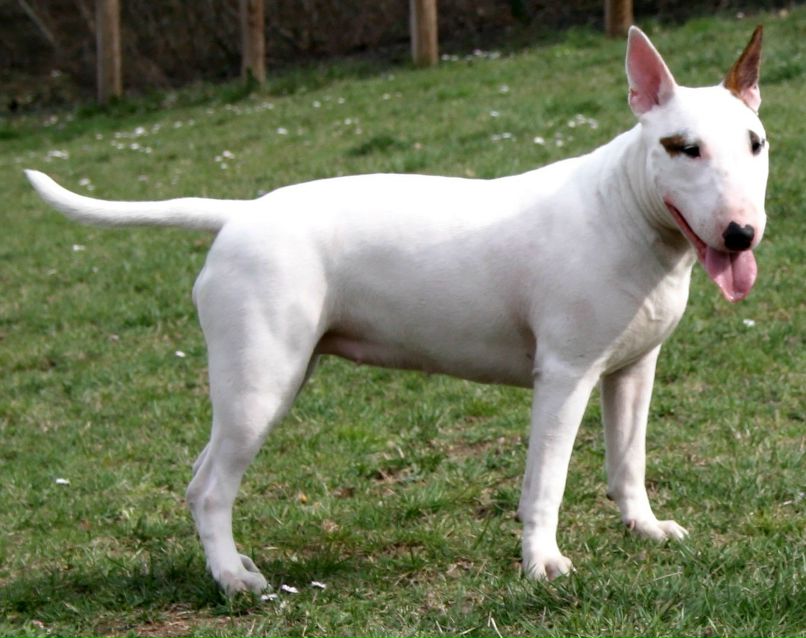 Артем Енот ...[c1rca]✖ | San Donato Milanese