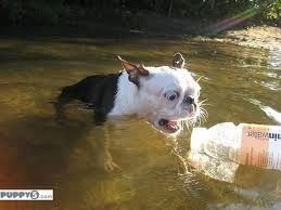 Паша Марьенко | Киев