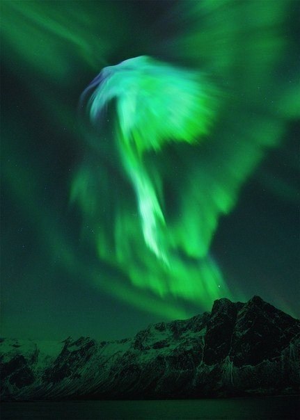 Елизавета Евдокимова | 