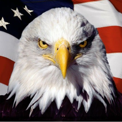 Даниил Богданов | Ленинск