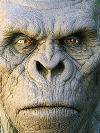 Григорий Карпухин | Омск