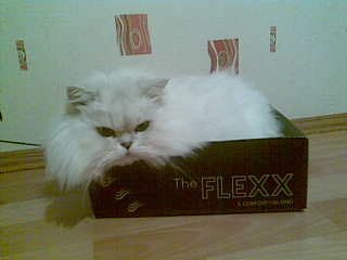 Алёна Важенина Vazhenka | Санкт-Петербург