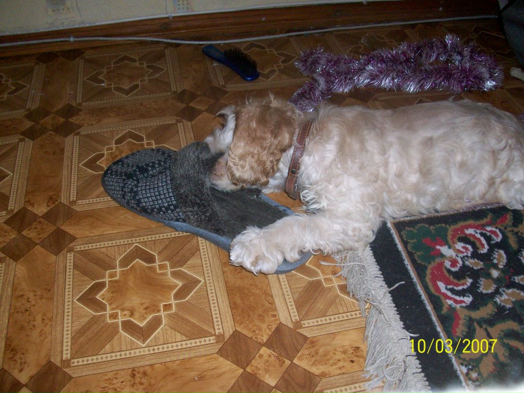 Даша Хамутинина Pandochka | Николаев