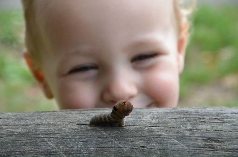 Александра Грига | 