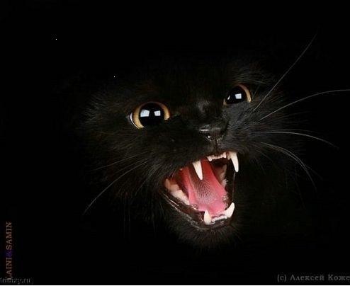 №59, Резедушка Салахова, Казань, Россия №59, Резедушка Салахова, Казань, Россия