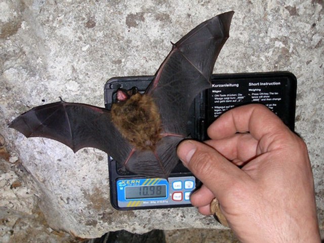 Валентин Соловьев Валерьевич vvs | Москва