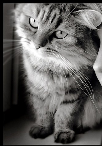 Наталия Луценко | Berlin