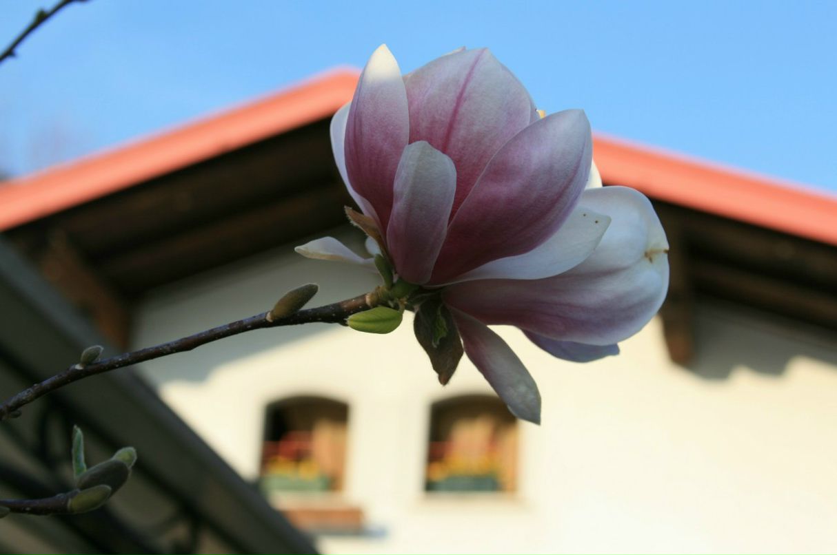 Евгений Боровик | Киев