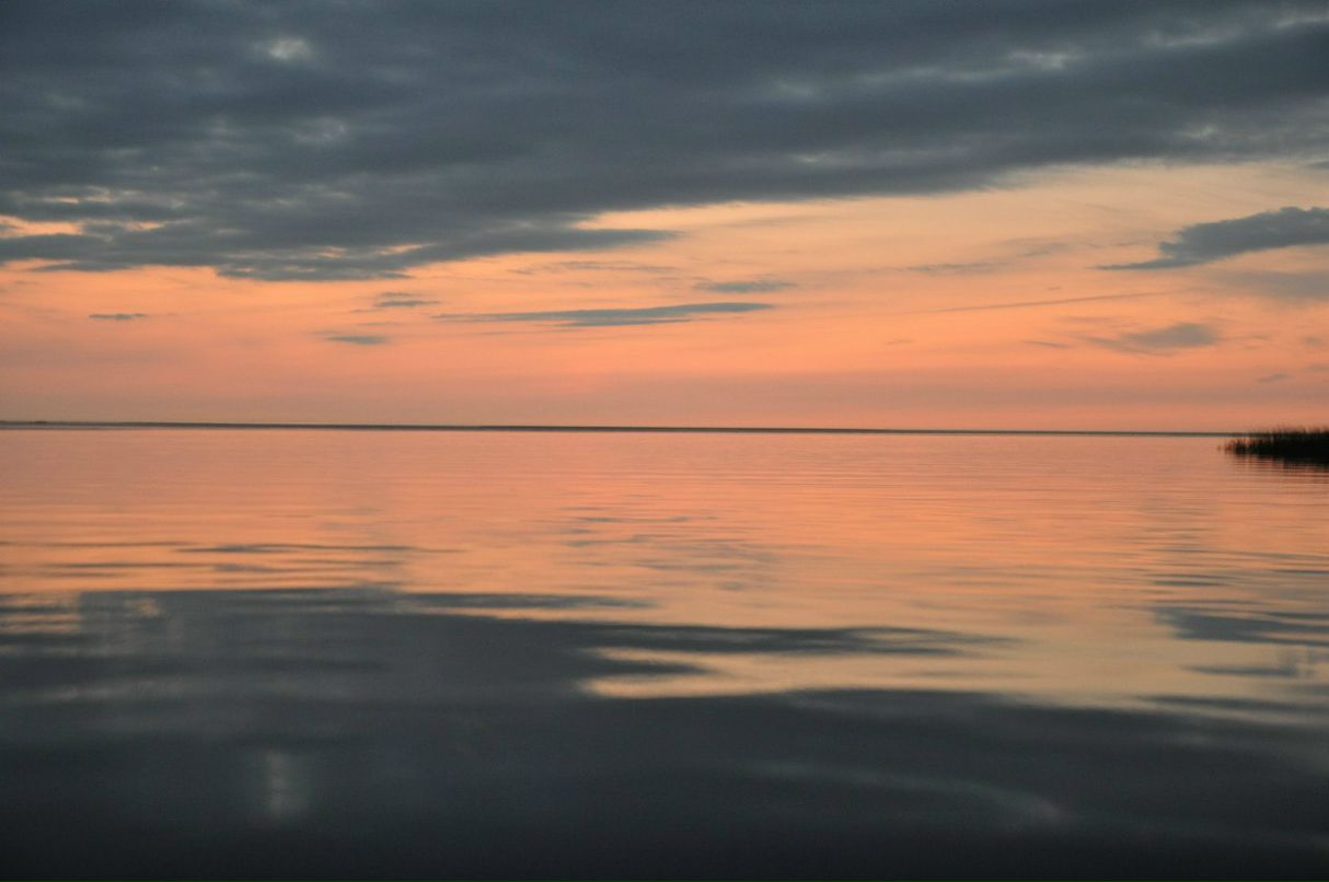 Марк Герценштейн | Архангельск