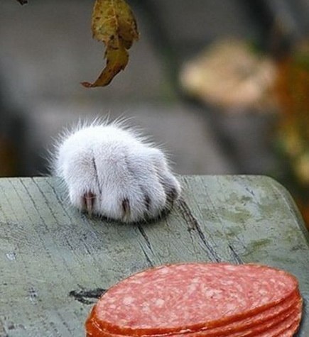 Hélène Amreeta | Москва