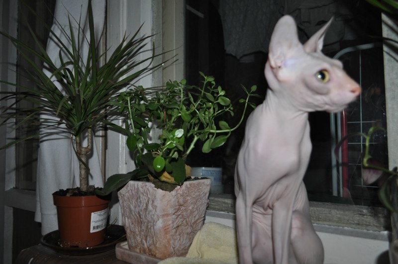 Александр Мезников | Воркута