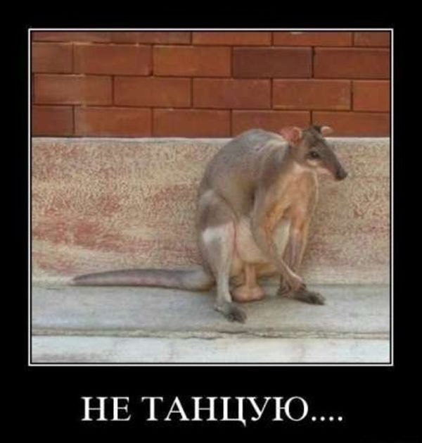 Игорь Ткачук | New York City