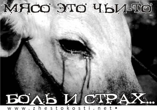Элина Ростова | Челябинск