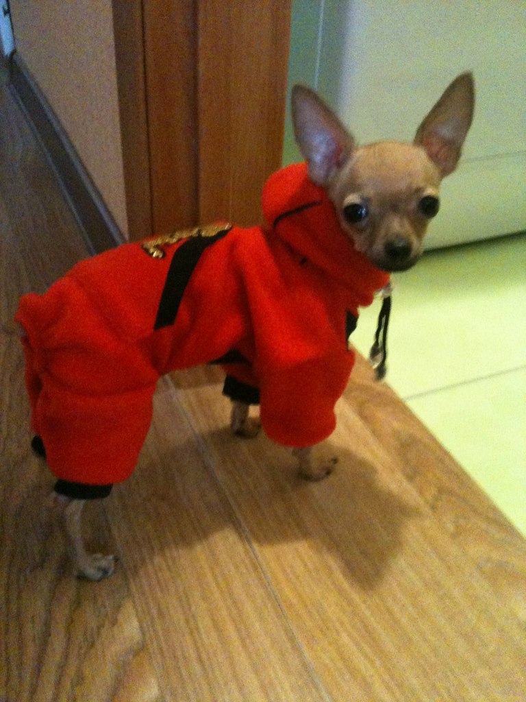 Натали Погребняк | Харьков