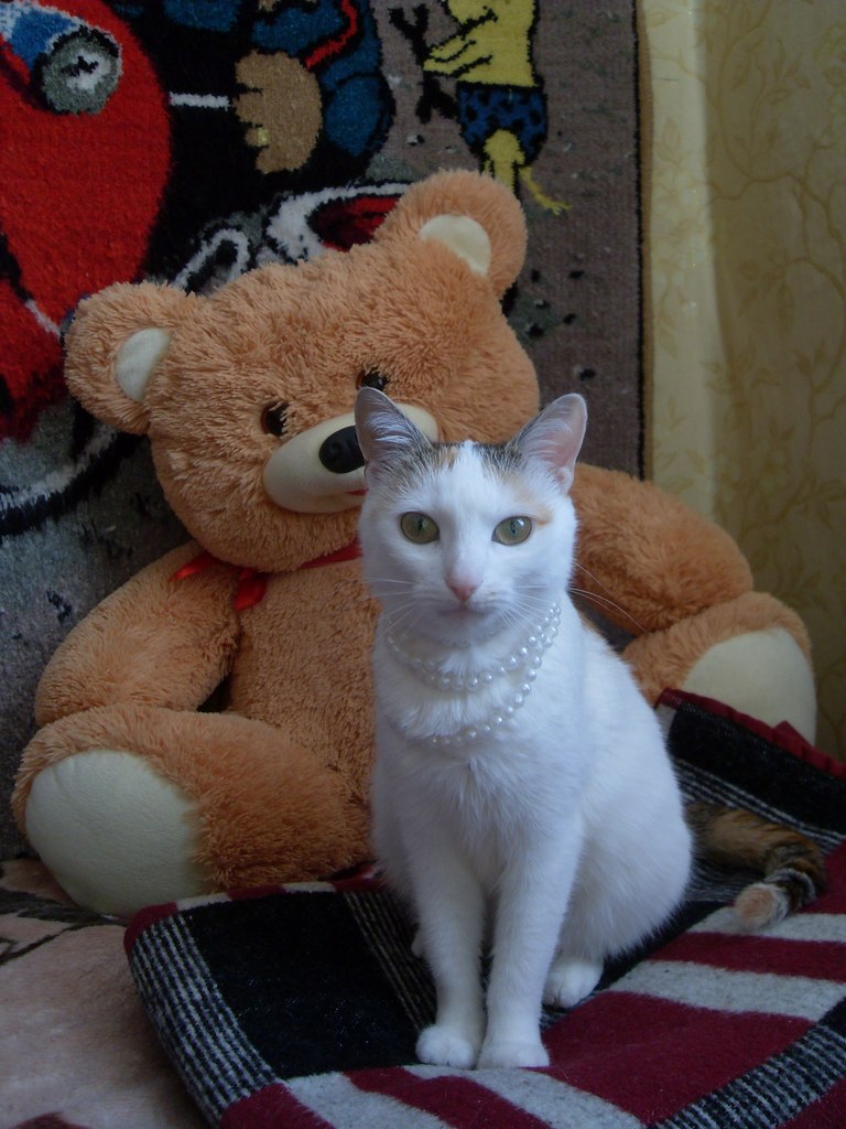 Вероника Каминская | Коханово