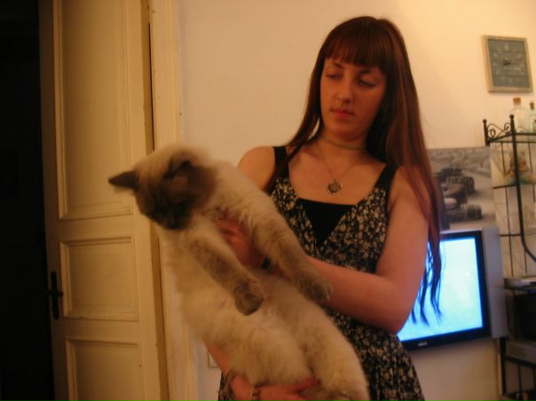 №40, Александр Козлов, 53 года, Брянск №40, Александр Козлов, 53 года, Брянск