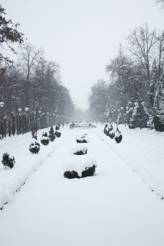 Іван Копитко | 