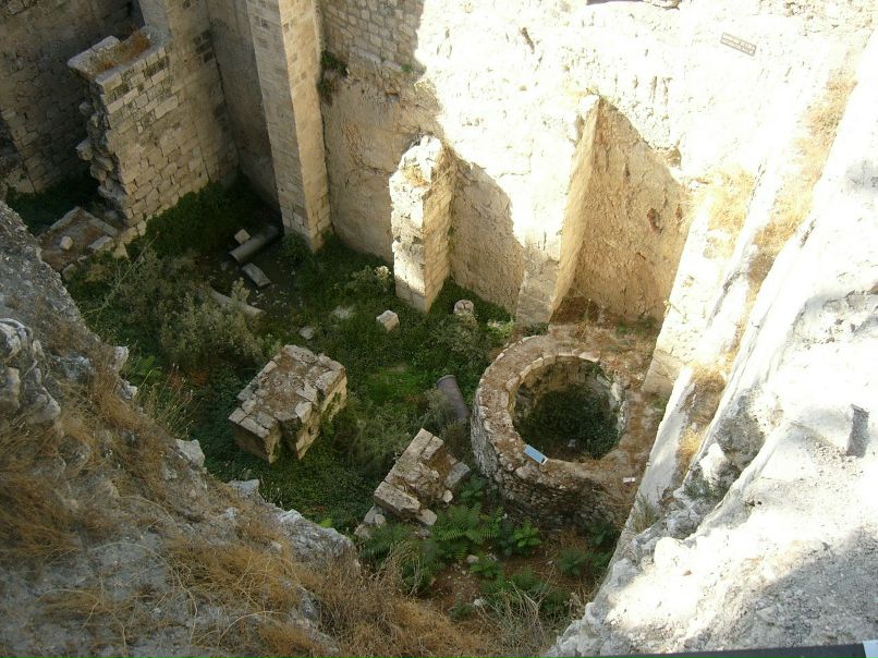 Светлана Колесникова | Санкт-Петербург