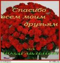 №28 Лилия Тихомирова : профиль, фото, статус - ВКонтакте