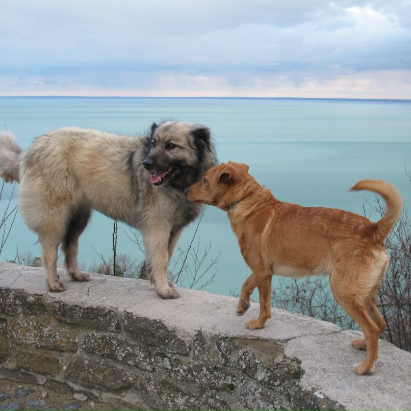 Олеся Кушелева | Helsinki