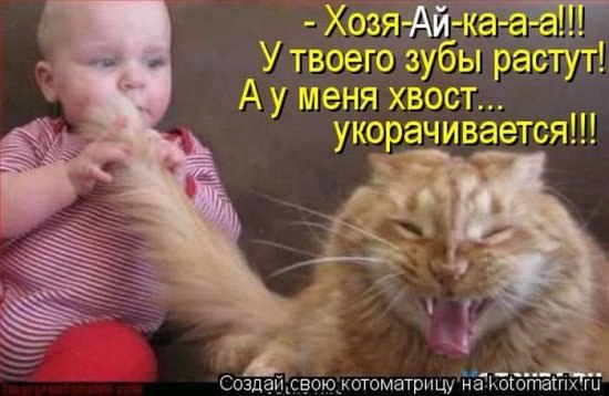 Евгений Лаппо (paukan) | Гатчина