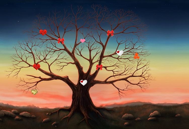 Юлия Абдуллаева | Лиепая