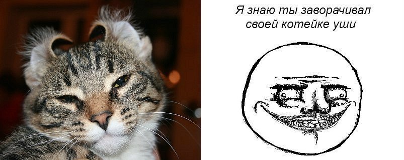 Фрэнки Пальца Четыре | Гатчина