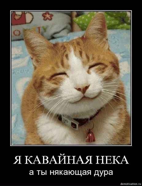 №24, Мария Матрос №24, Мария Матрос