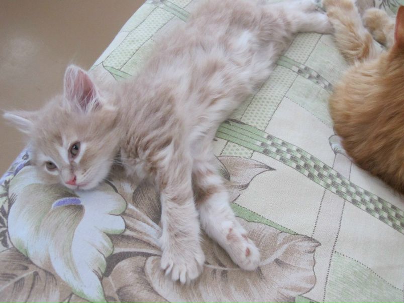 №3, Евгений Скворцов, 36 лет, Москва №3, Евгений Скворцов, 36 лет, Москва