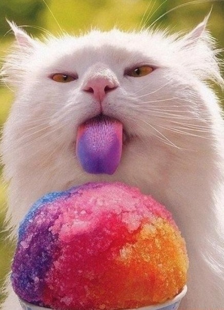 №96, Юлия Нестеренко, Барнаул №96, Юлия Нестеренко, Барнаул