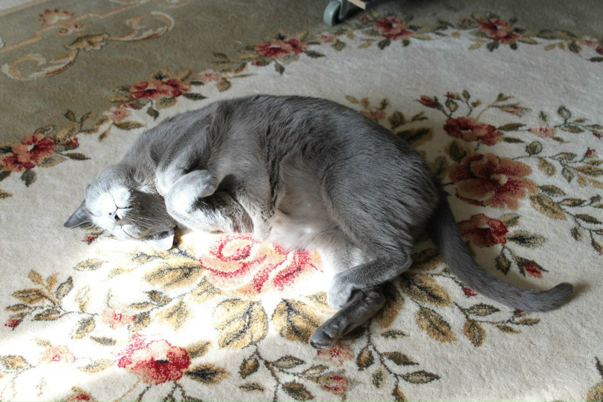 Наталья Первушина | 