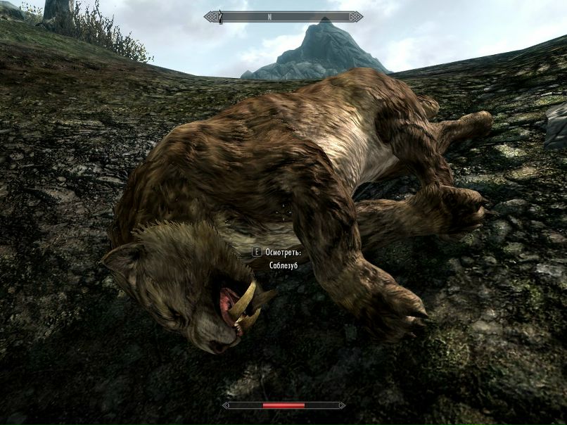 Nemesis Omen ††Ne[Ro]Sso†† | New York City