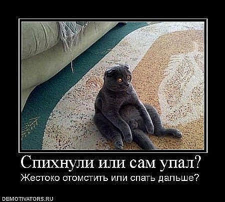 №63, Людмила Москалева, 57 лет, Горячий Ключ №63, Людмила Москалева, 57 лет, Горячий Ключ