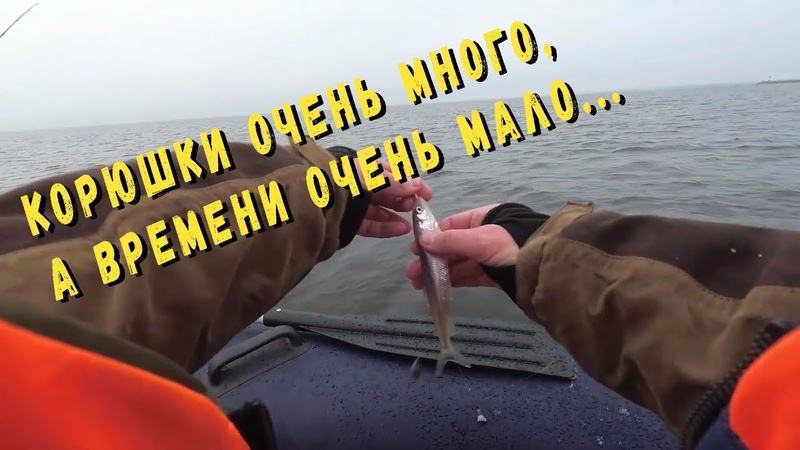 Ловля корюшки на Финском заливе в марте 2019, - тестируем наживку: на карася или на корюшку