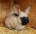 Макс Гришков фотография #27