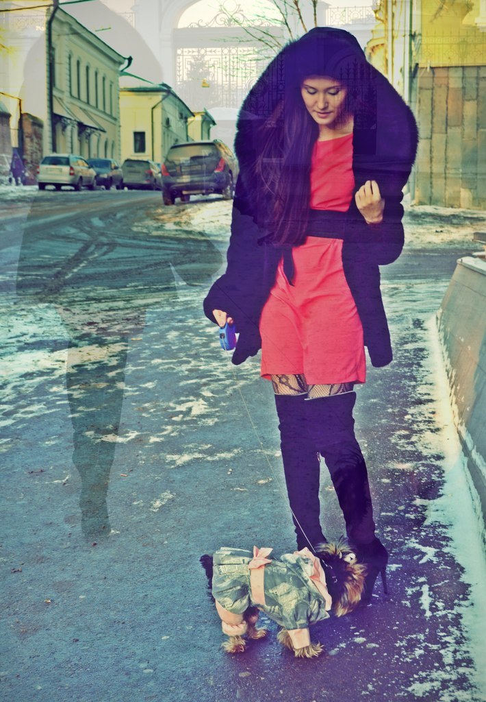 Dilyara Bikmullina | Toronto