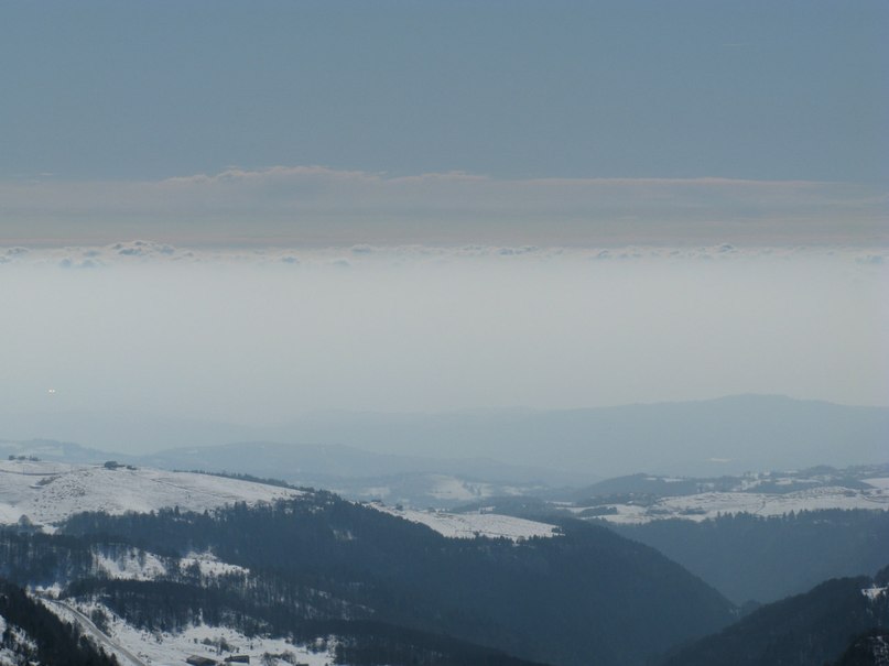 Владимир Тарасенко | Москва