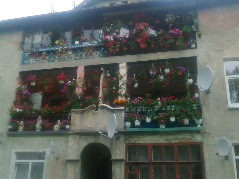 Наталья Богданова | Апатиты