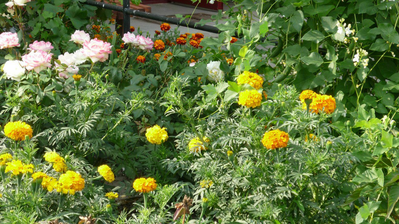 Вячеслав Чураков Вадимович | Полтава