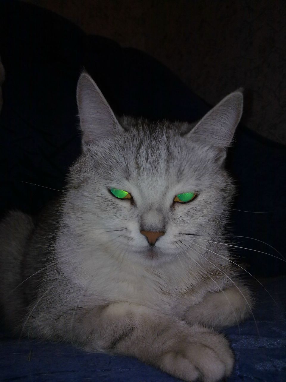 Дима Гурьянов | Саратов