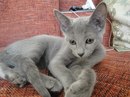 №19 Ольга Киселева 04.10.1988: профиль, фото, статус - ВКонтакте