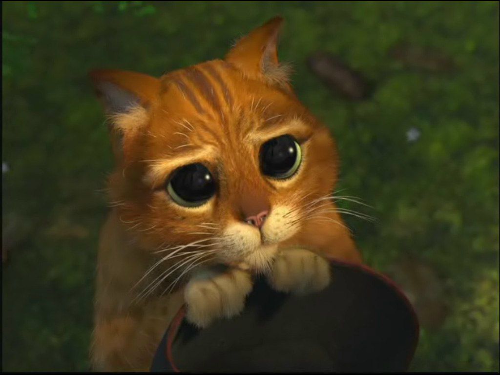 Эд Кален | East Los Angeles