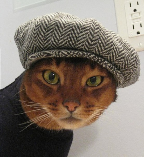 Коля Пушной | Москва