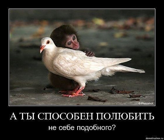 №9, Лена Мирошник №9, Лена Мирошник