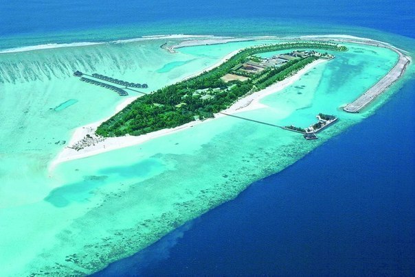 Александр Петров | Санкт-Петербург